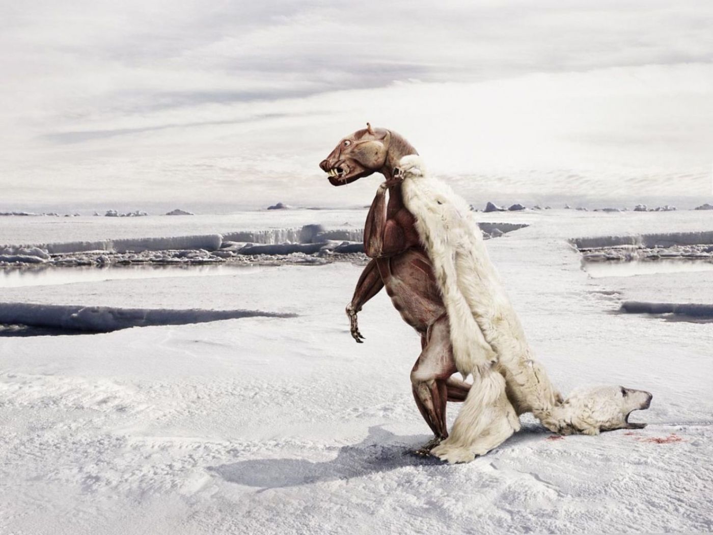  Winter Tiere Hintergrundbild 1400x1050. Hintergrundbild für Handys: Tiere, Schnee, Bären, Fantasie, 25840 Bild kostenlos herunterladen