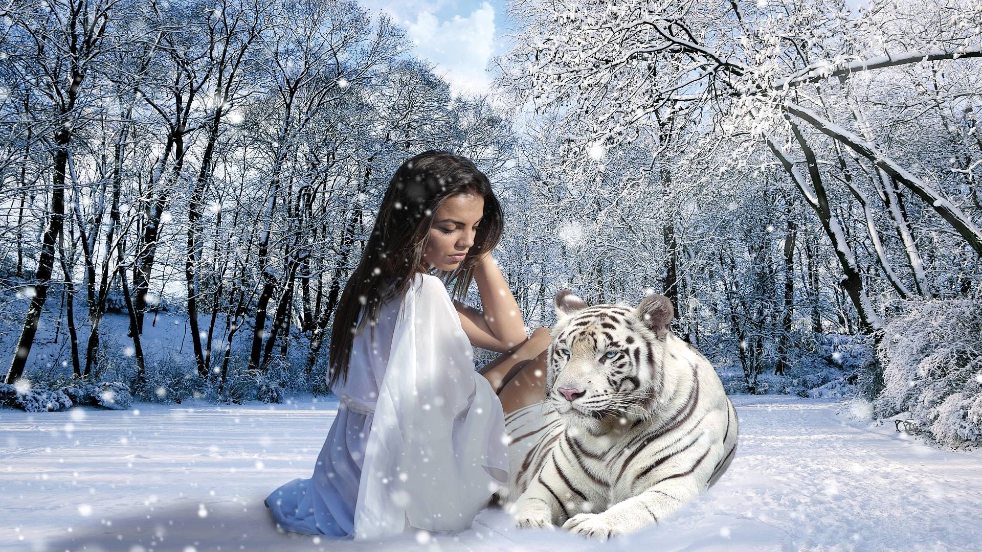  Winter Tiere Hintergrundbild 1920x1080. Wallpaper Tiere Im Winter Tiger