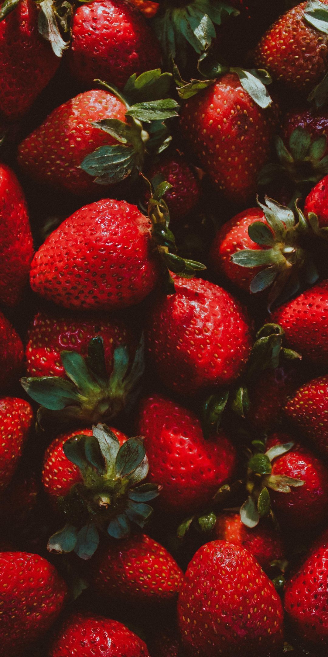  Erdbeeren Hintergrundbild 1080x2160. Strawberry, red fruit, fresh wallpaper. Fruit wallpaper, Fruit photography, Fruit