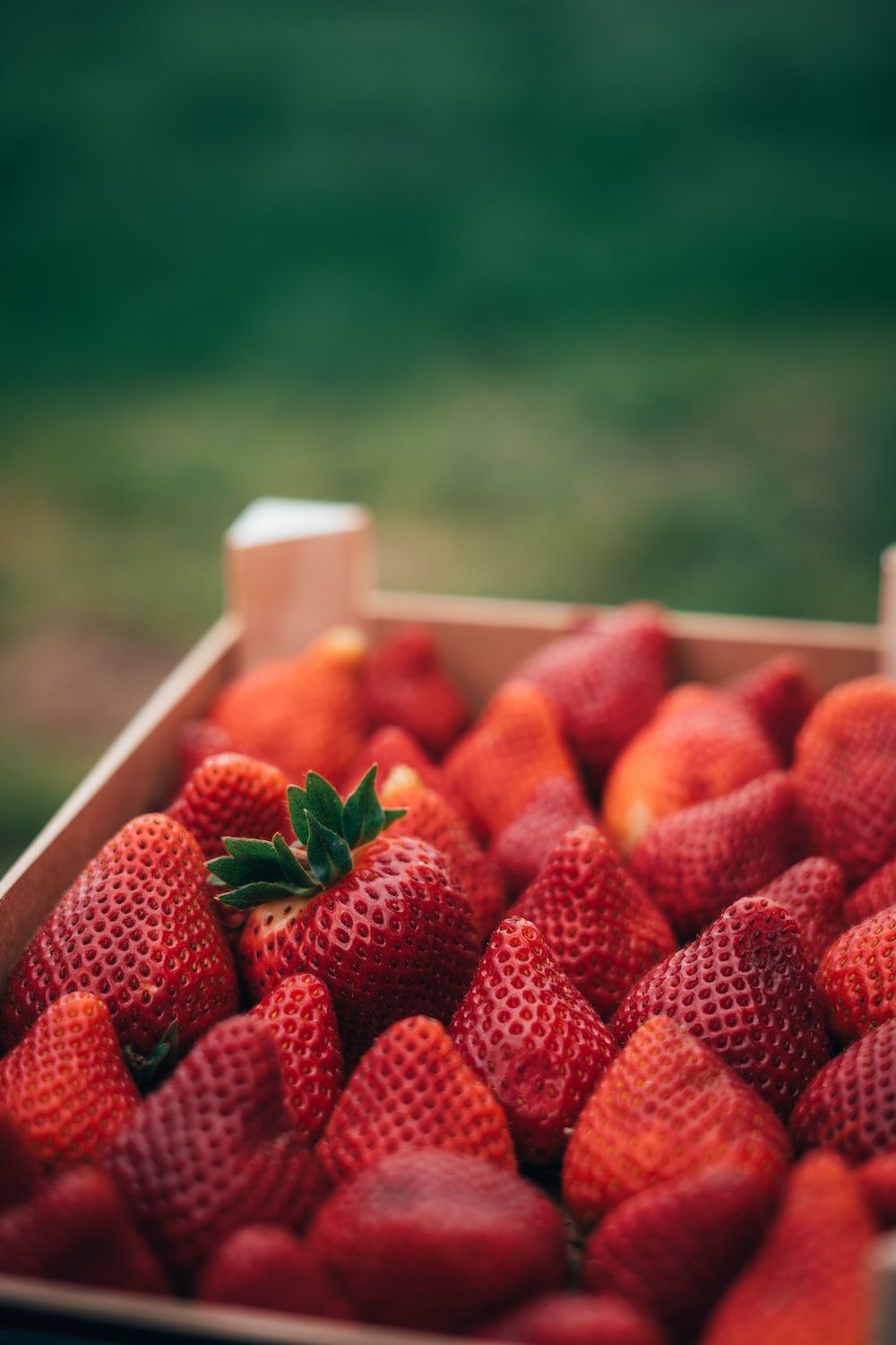  Erdbeeren Hintergrundbild 1000x1500. Erdbeeren Picture. Download Free Image