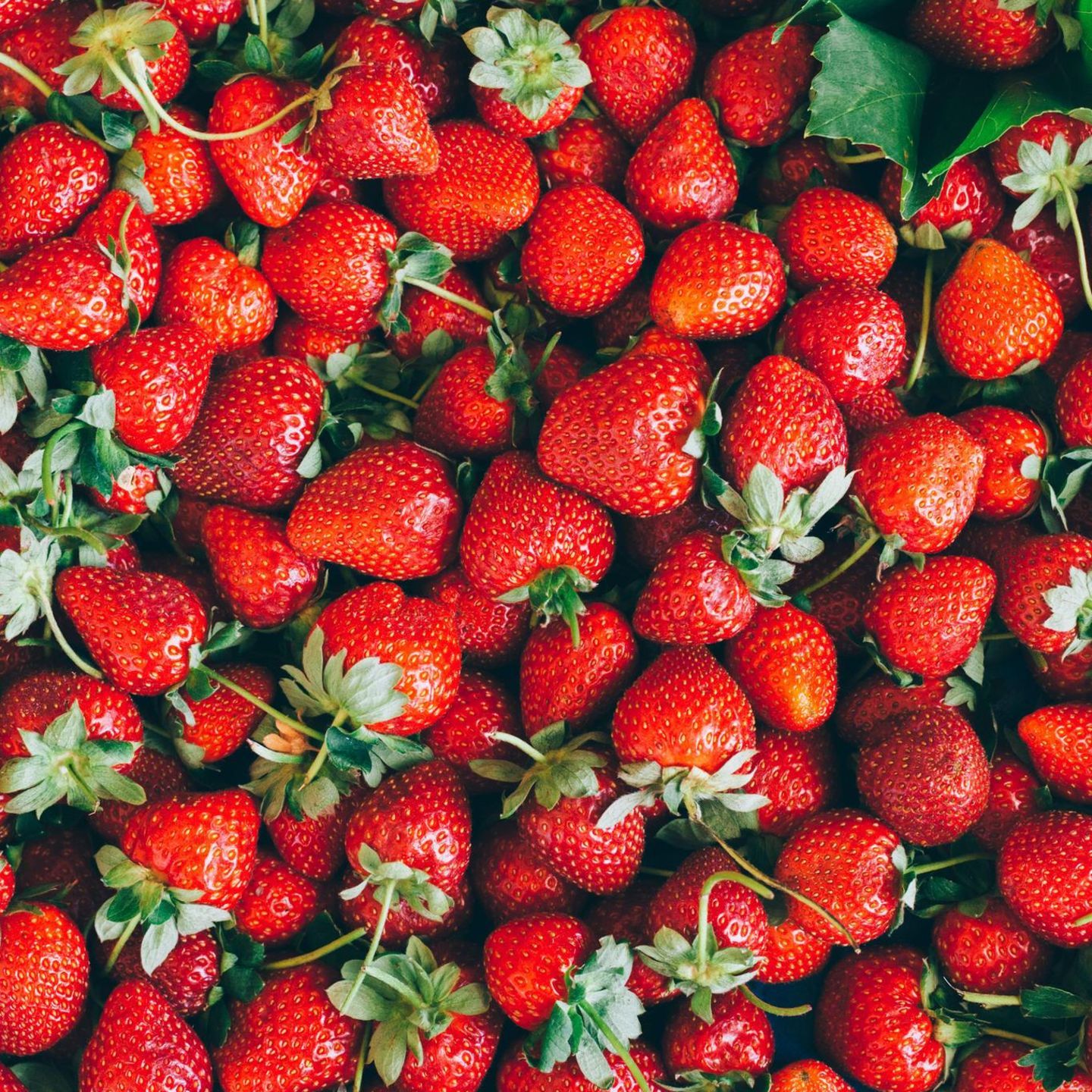  Erdbeeren Hintergrundbild 1440x1440. Rezepte mit Erdbeeren: So gesund sind sie als Smoothie oder im Süppchen