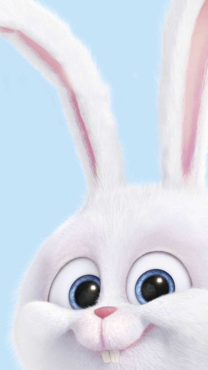  Hasen Hintergrundbild 720x1280. Download Snowball Wallpaper by SnoobDude now. Browse millions of popular cute Wallpaper. Bunny wallpaper, Disney wallpaper, Rabbit wallpaper