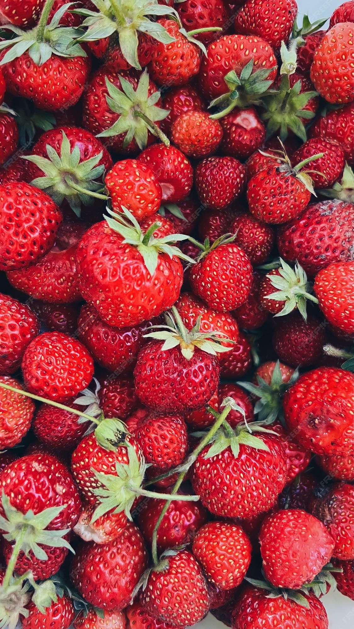  Erdbeeren Hintergrundbild 1125x2000. Rot gefärbter hintergrund mit mehreren erdbeeren