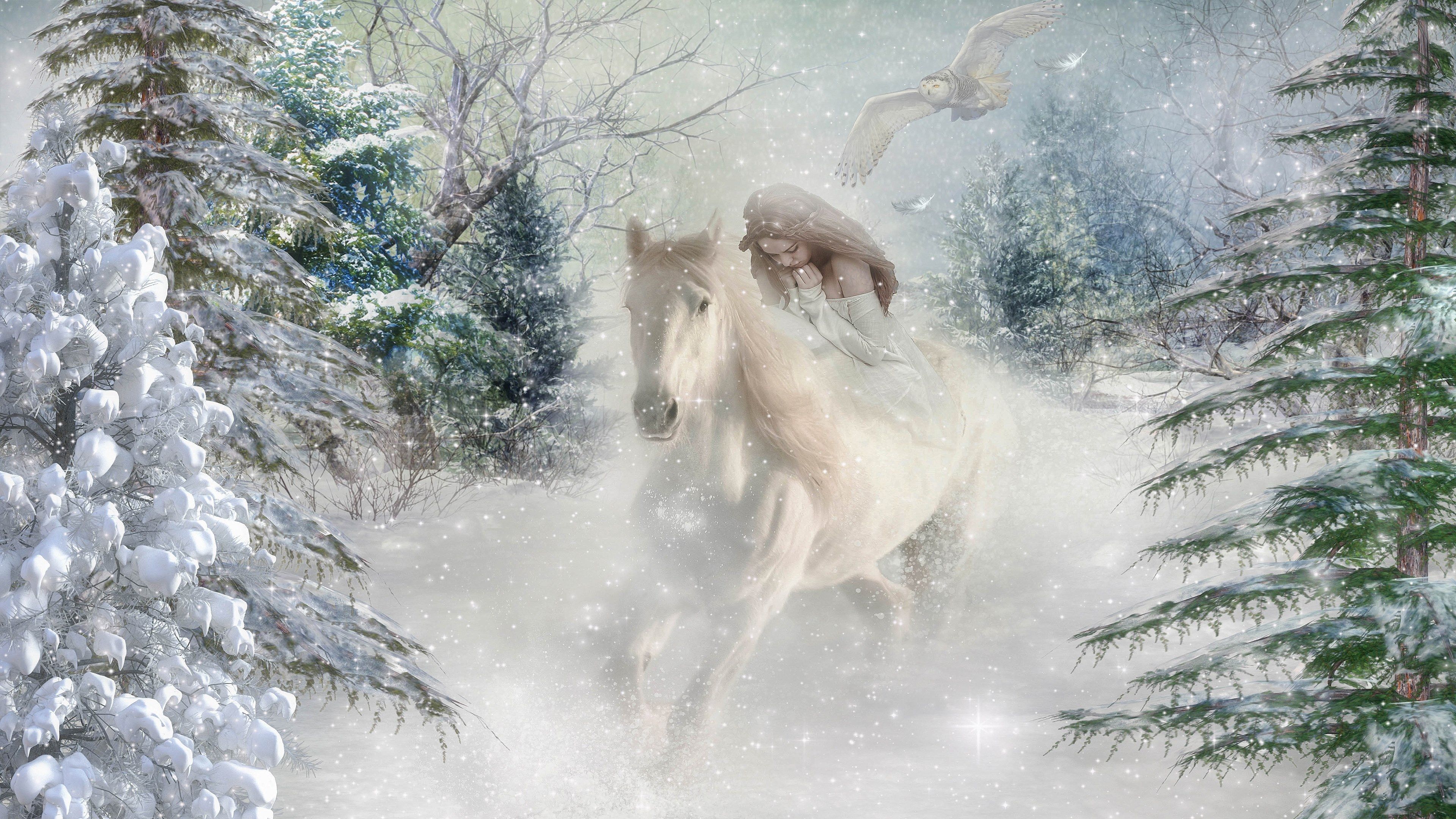  Winter Tiere Hintergrundbild 3840x2160. Wallpaper Tiere Im Winter Fantasy
