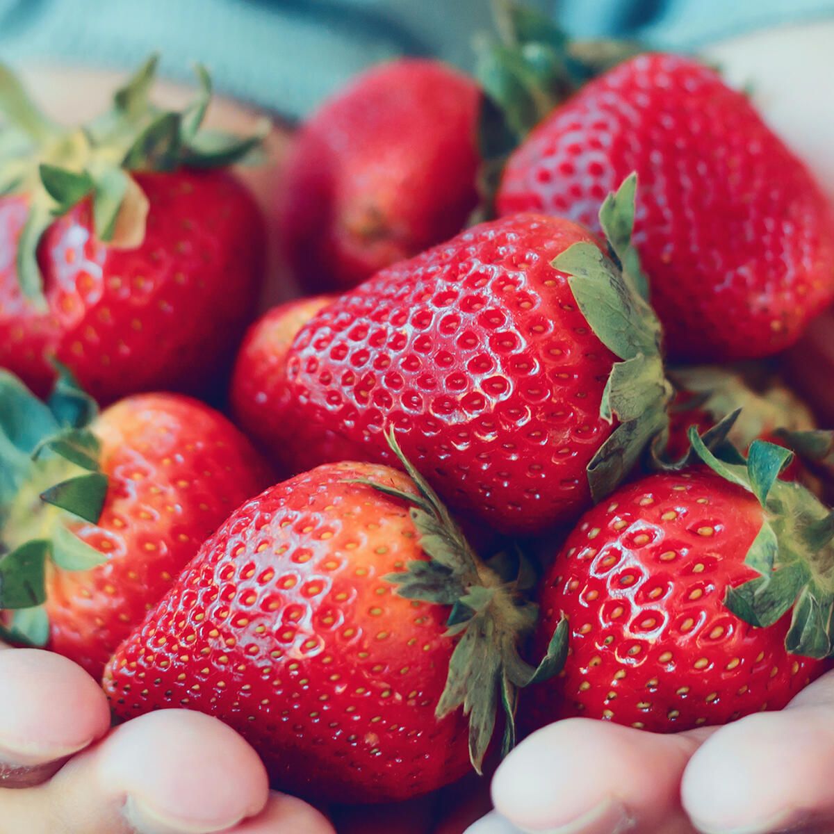  Erdbeeren Hintergrundbild 1200x1200. Erdbeeren: Kalorien und Nährwerte auf einen Blick schöner Garten