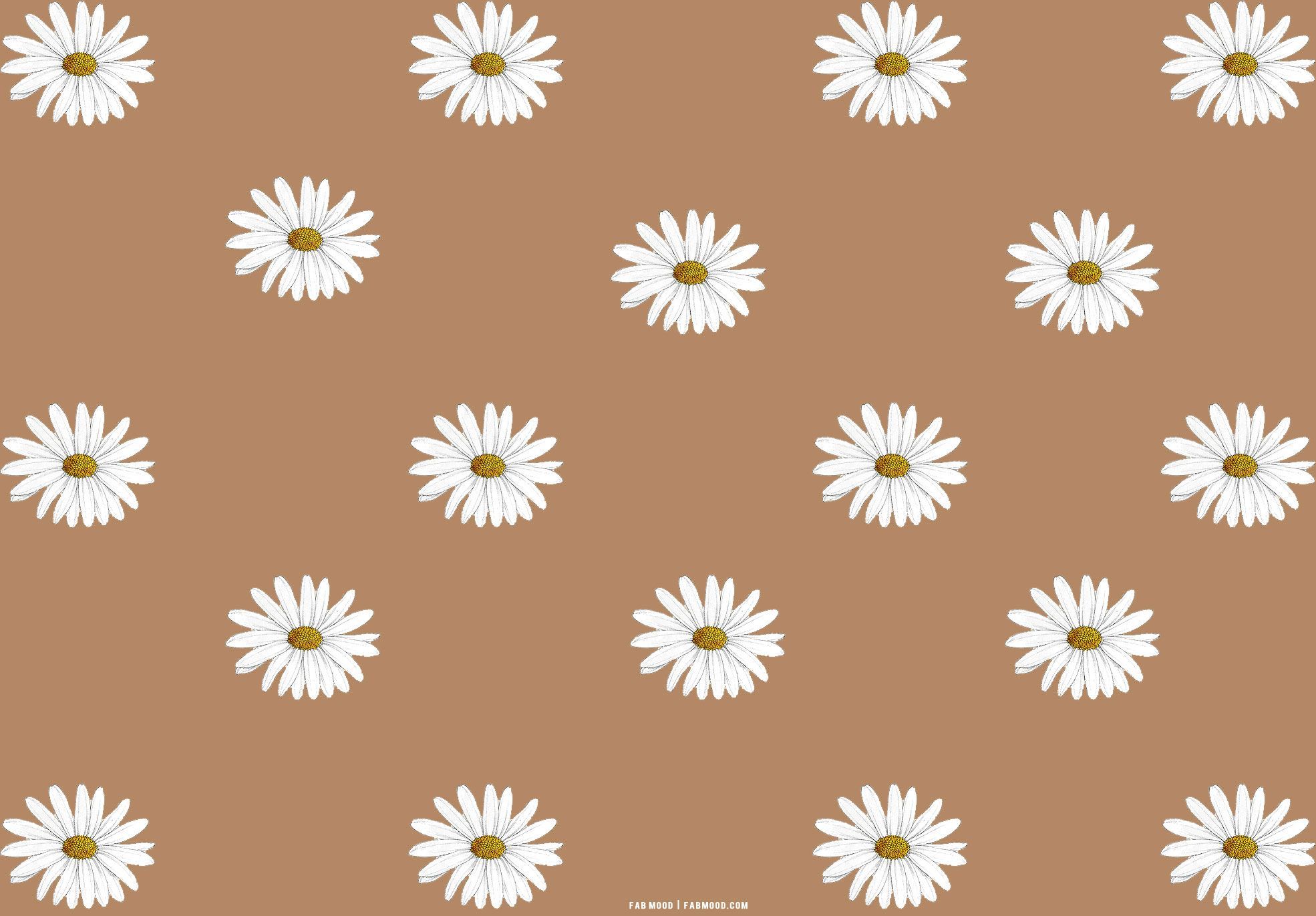  Zeichnungen Hintergrundbild 1970x1371. Brown Aesthetic Wallpaper for Laptop : Daisy Daisy