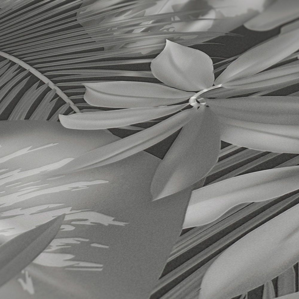  Hellgrau Hintergrundbild 1000x1000. Blätter Tapete Dschungel Muster