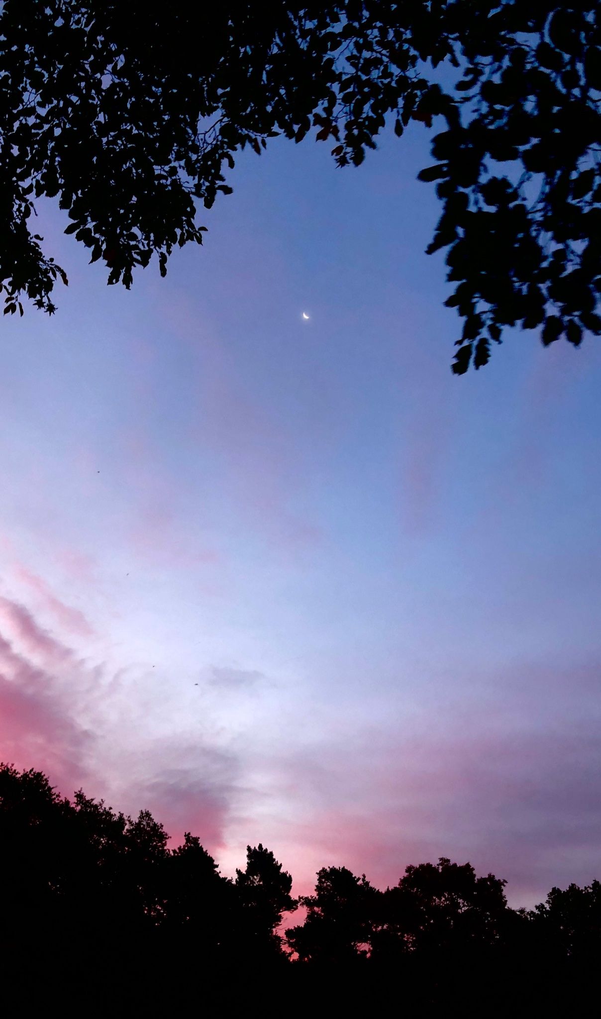  Himmel Hintergrundbild 1208x2048. DLR_next on X: Und auch heute leuchtet wieder ein schöner Mond vom Morgenhimmel. / X
