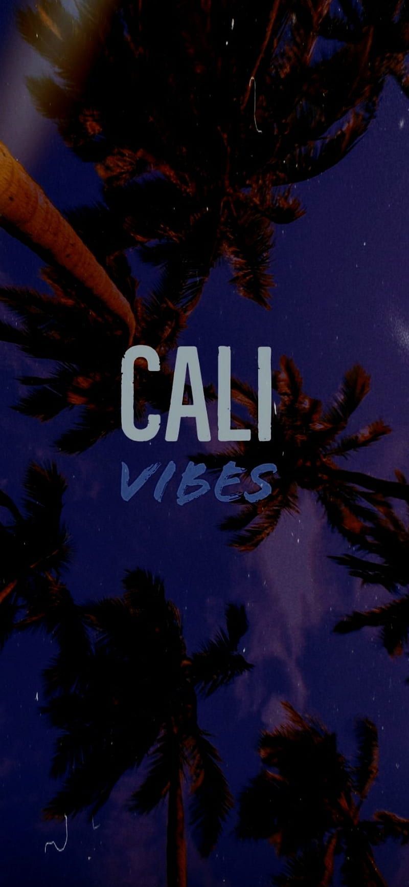  California Hintergrundbild 800x1733. California Vibes, aesthetic, america, beach, la, night, palms, tree, usa, vibe, HD phone wallpaper