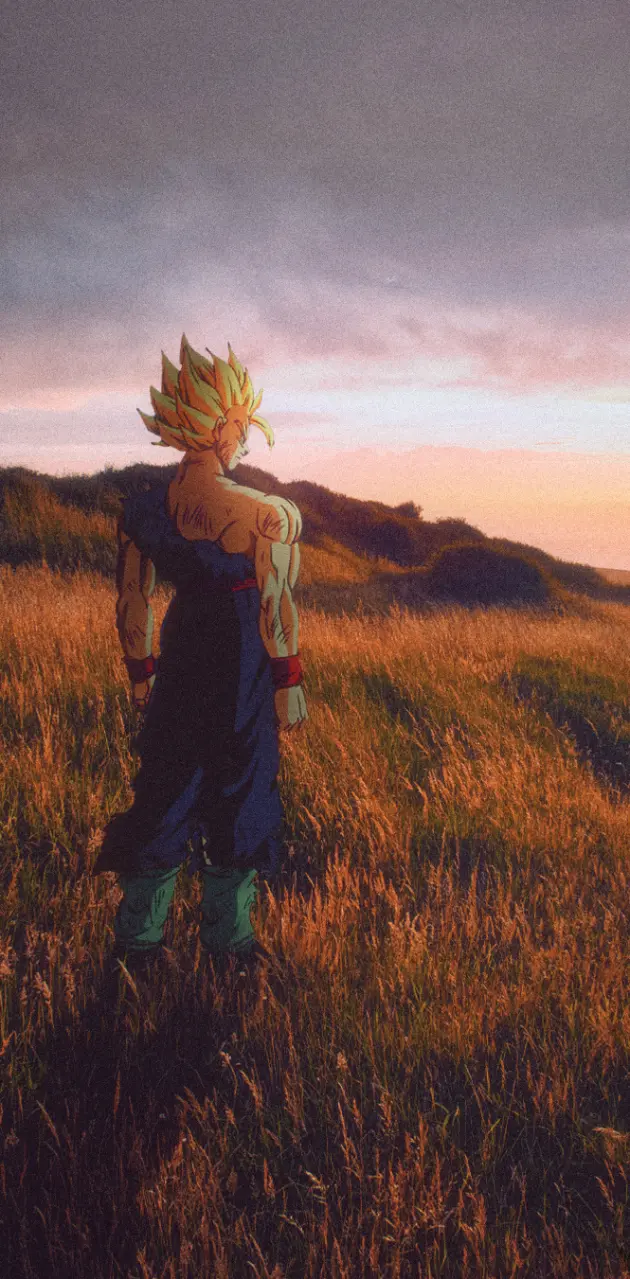  Son Goku Hintergrundbild 630x1279. Son Goku wallpaper