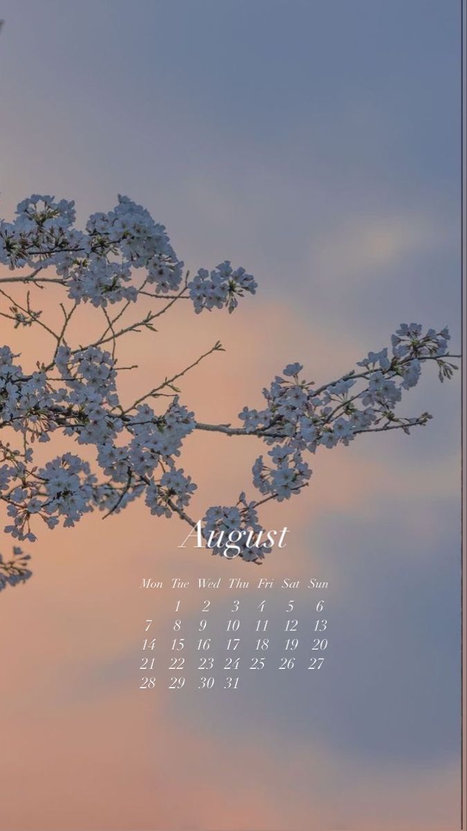  2023 Kalender Hintergrundbild 675x1200. Wallpaper august 2023 calendar tree flowers aesthetic clouds in 2023. August wallpaper, Pretty wallpaper background, Phone wallpaper image