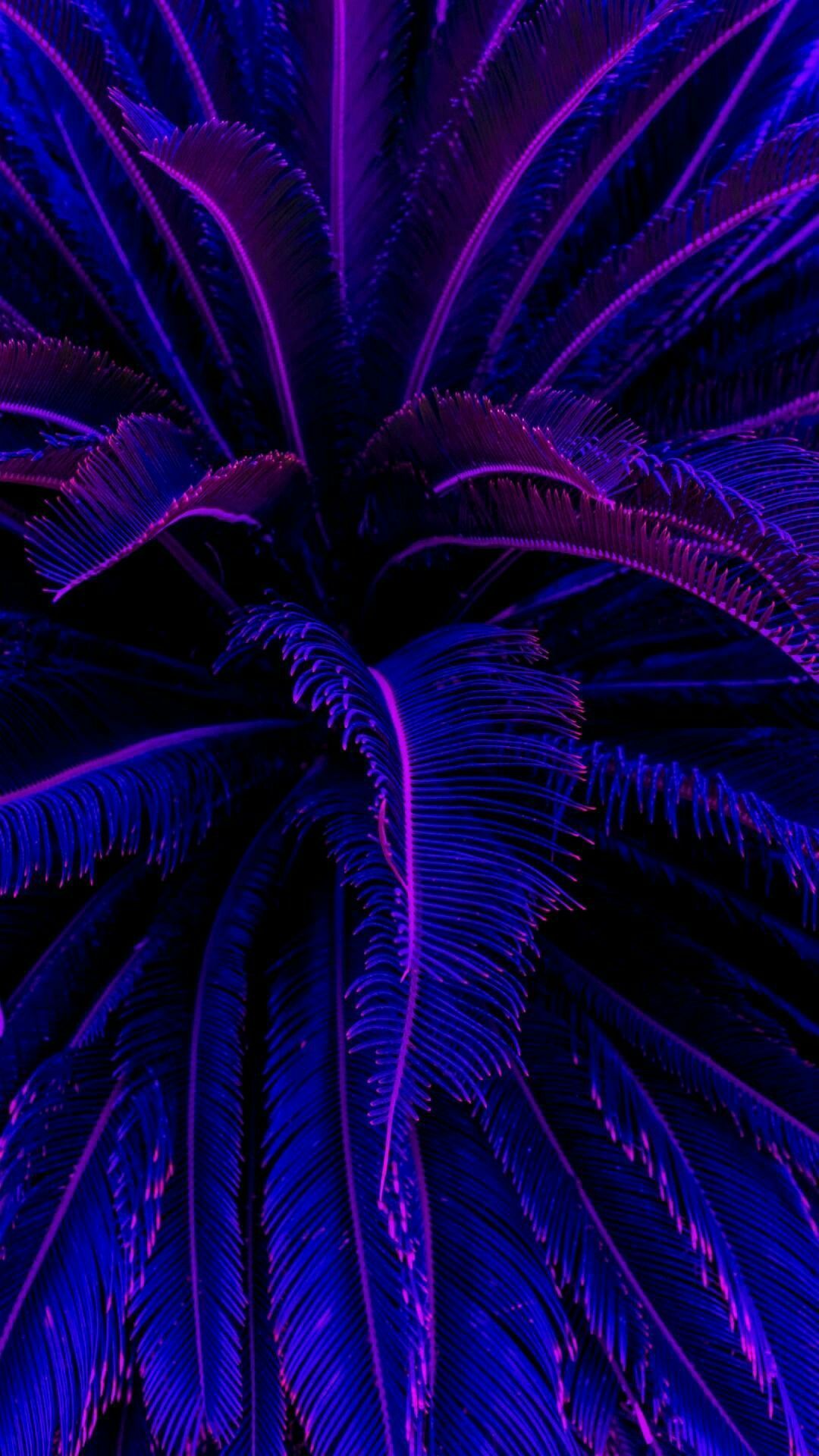  Neon Coole Hintergrundbild 1080x1920. Neon Lock Wallpaper