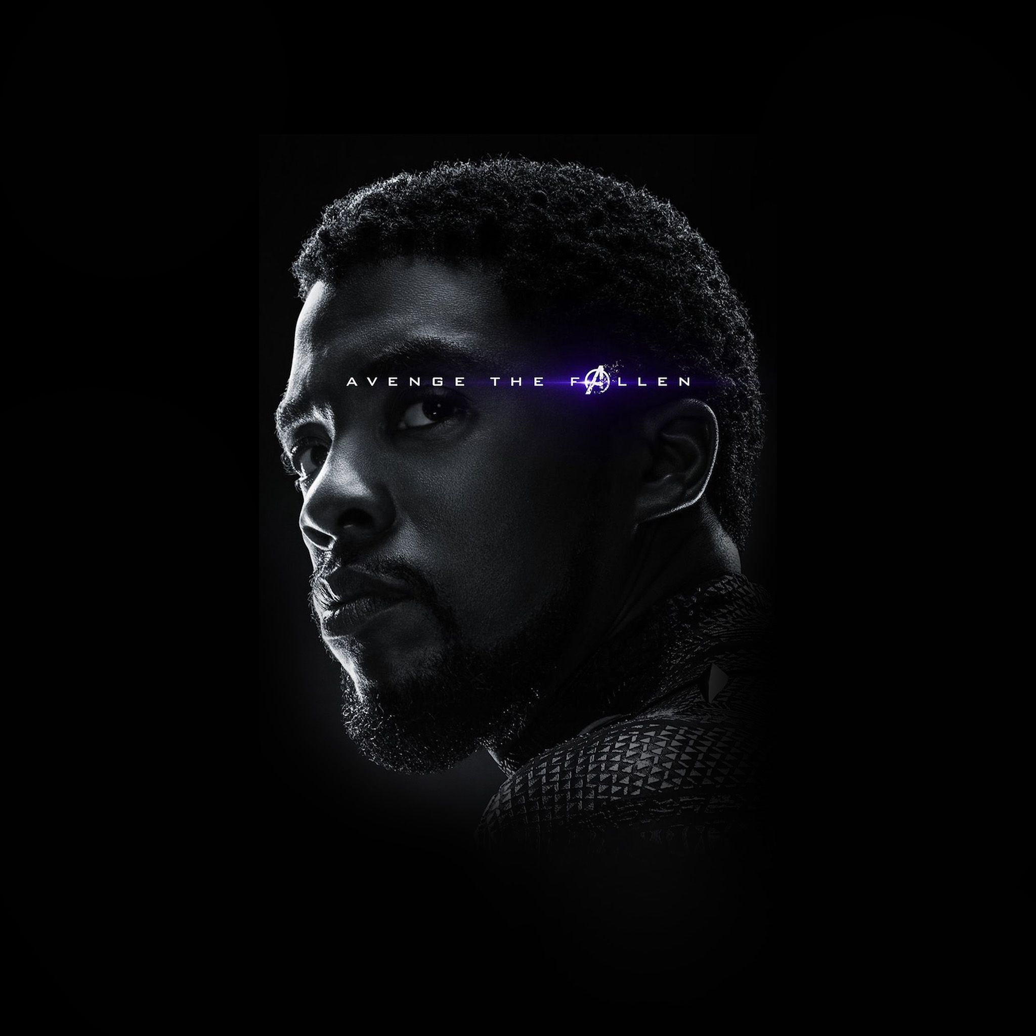  Black Panther Hintergrundbild 2048x2048. Avengers Poster Wakanda Hero Endgame Marvel Blackpanther Art Wallpaper