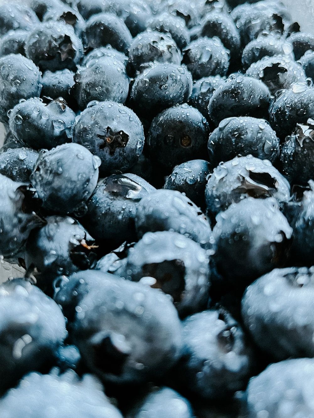  Obst Hintergrundbild 1000x1333. Foto zum Thema Ein haufen blaubeeren mit wassertröpfchen darauf