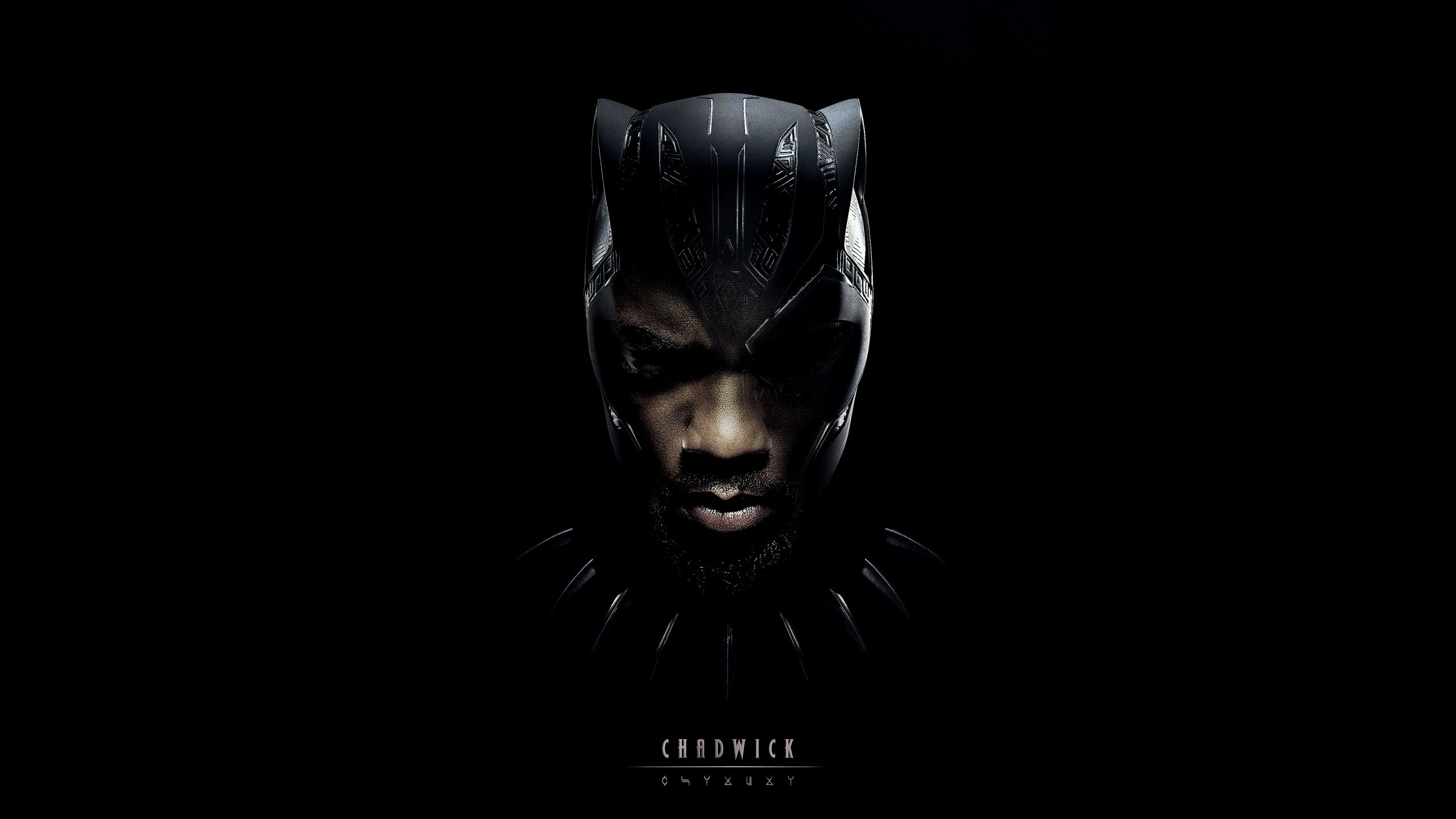  Black Panther Hintergrundbild 2560x1440. Chadwick Boseman as Black Panther Wallpaper 4K, Tribute
