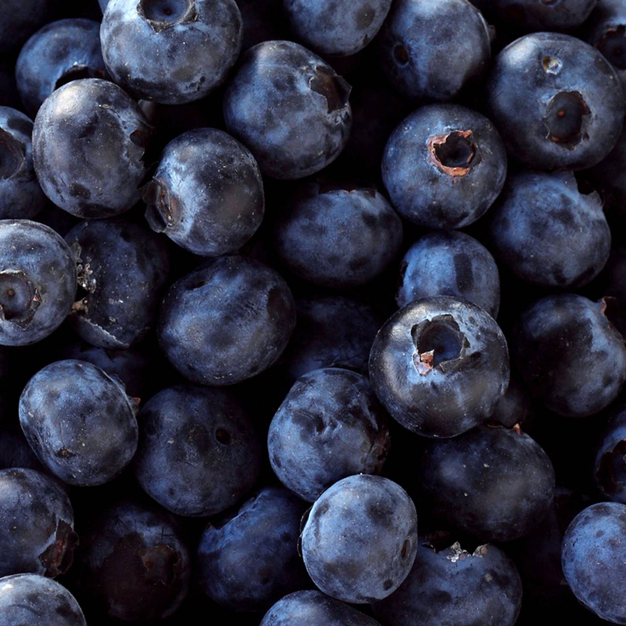  Obst Hintergrundbild 1280x1280. Gesunde Beeren: Blauviolettes Obst macht fit und schlank FOR FUN