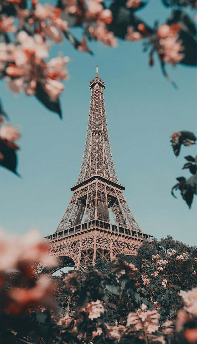  Paris Hintergrundbild 750x1306. Download Paris Aesthetic Pink Flowers Wallpaper