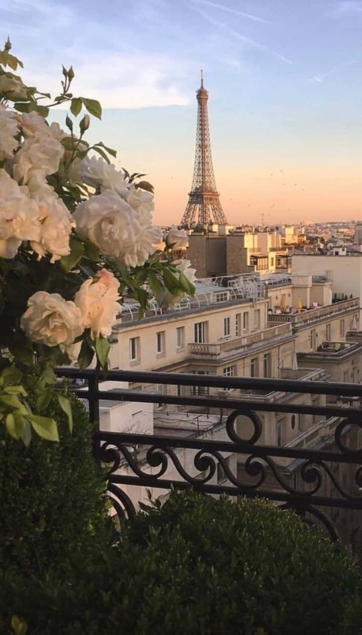  Paris Hintergrundbild 730x1280. Download Take a scenic strollisian cityscape. Wallpaper