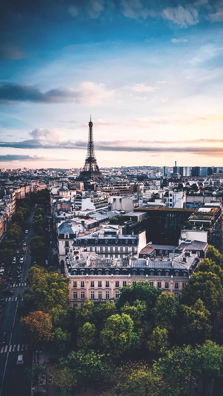  Paris Hintergrundbild 736x1308. Aesthetic Paris Wallpaper