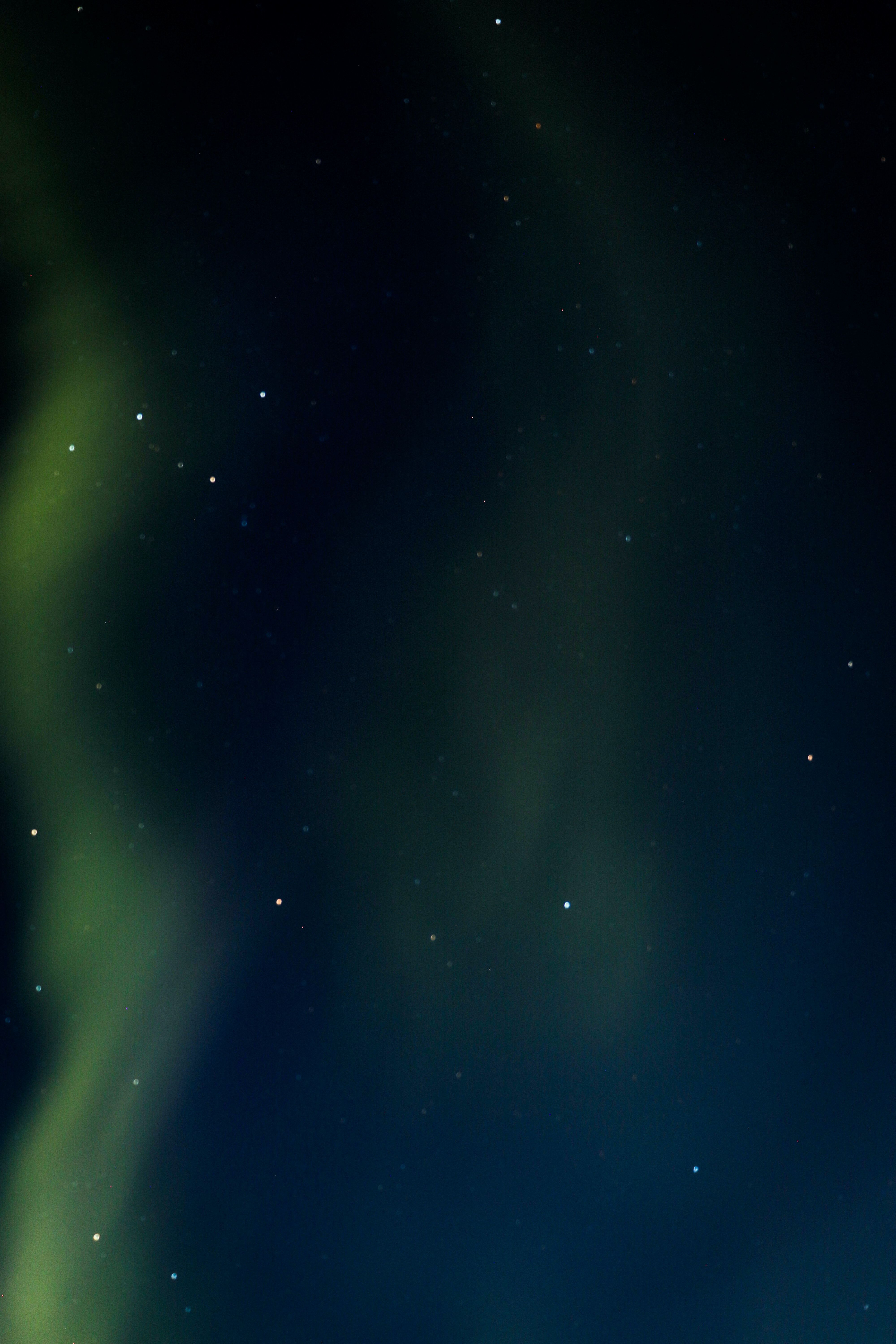  Polarlicht Hintergrundbild 4000x6000. Kostenloses Foto zum Thema: landschaftlich, nachthimmel, nordlicht, polares klima, silhouette, wald