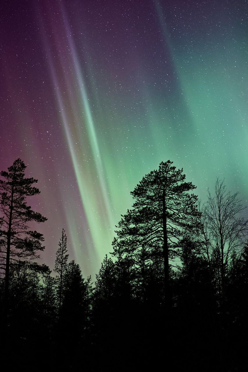  Polarlicht Hintergrundbild 854x1280. Aurora Grün Licht Foto auf Pixabay