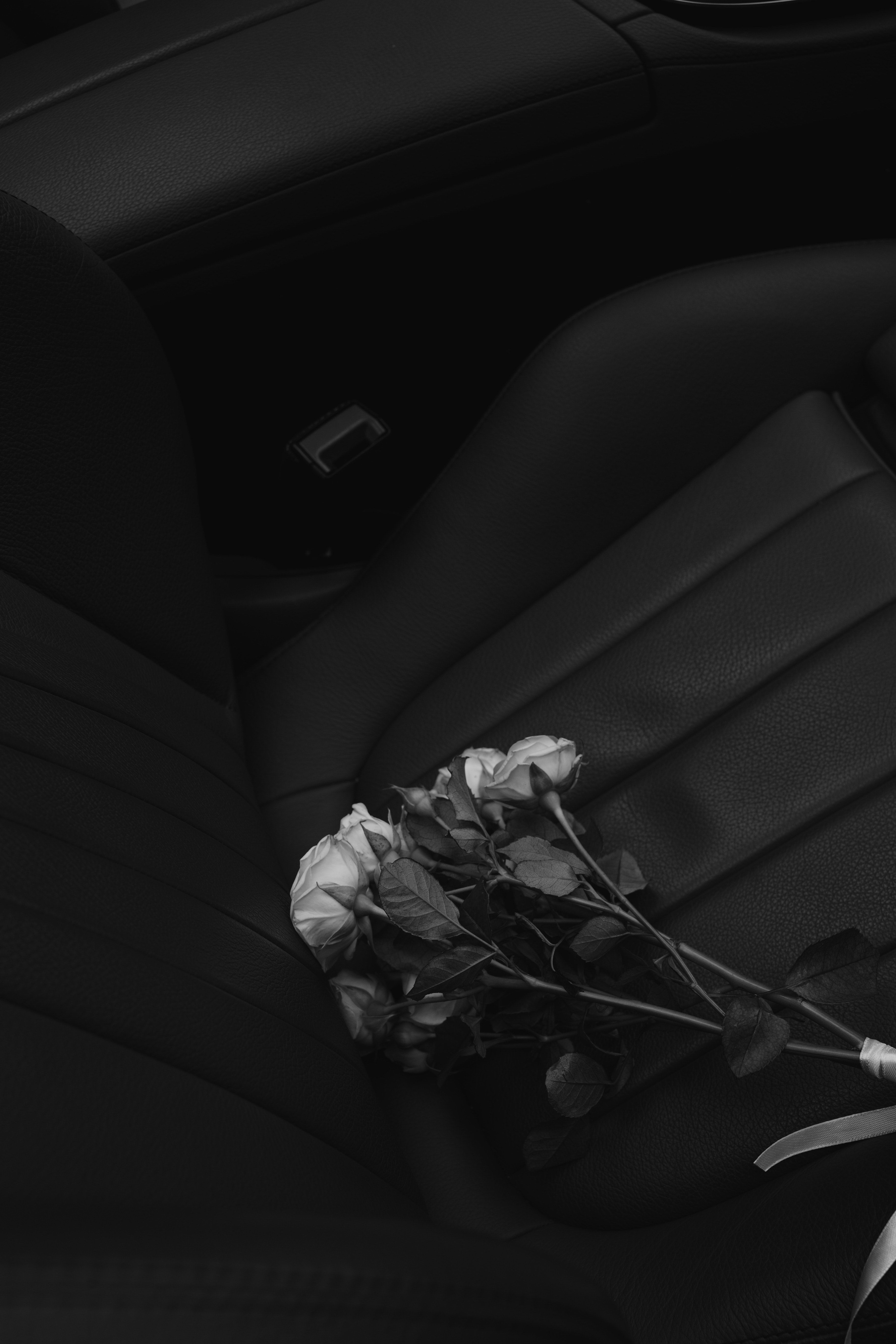  Schwarz Silber Hintergrundbild 3648x5472. Kostenloses Foto zum Thema: blume, einfarbig, festhalten, graustufen, hand, hintergrund, rose, schwarz und weiß, selektiven fokus, vertikaler schuss, wallpaper
