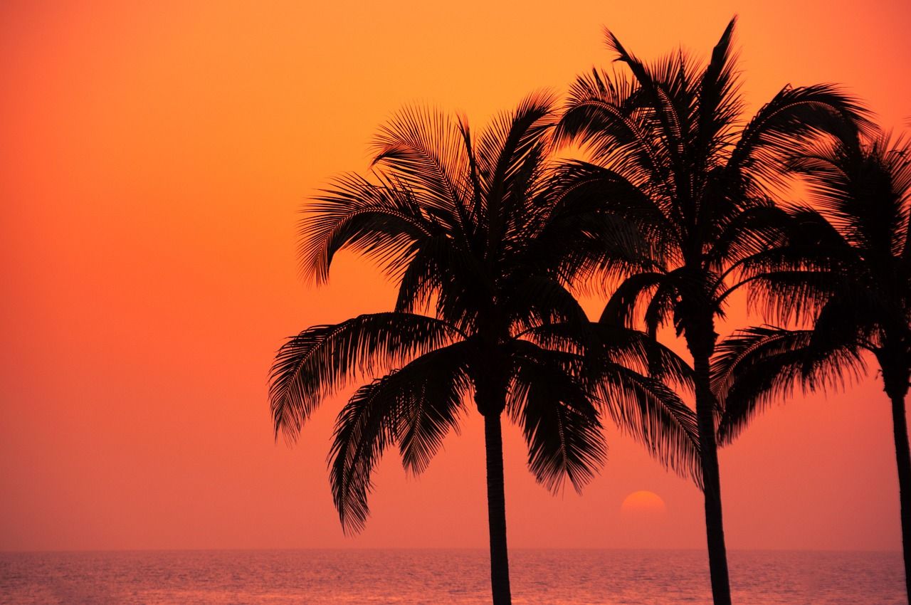  Sonne Strand Meer Hintergrundbild 1280x850. Palmen Meer Sonnenuntergang Foto auf Pixabay
