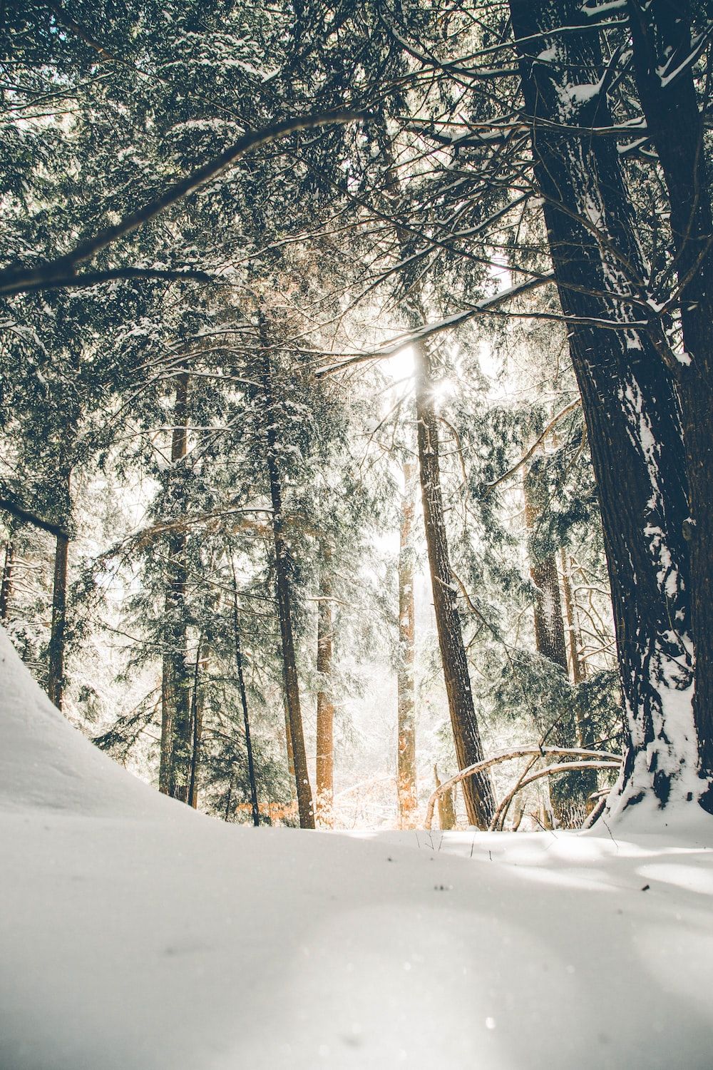  Schnee Hintergrundbild 1000x1500. Winter Wallpaper: Kostenloser HD Download [HQ]