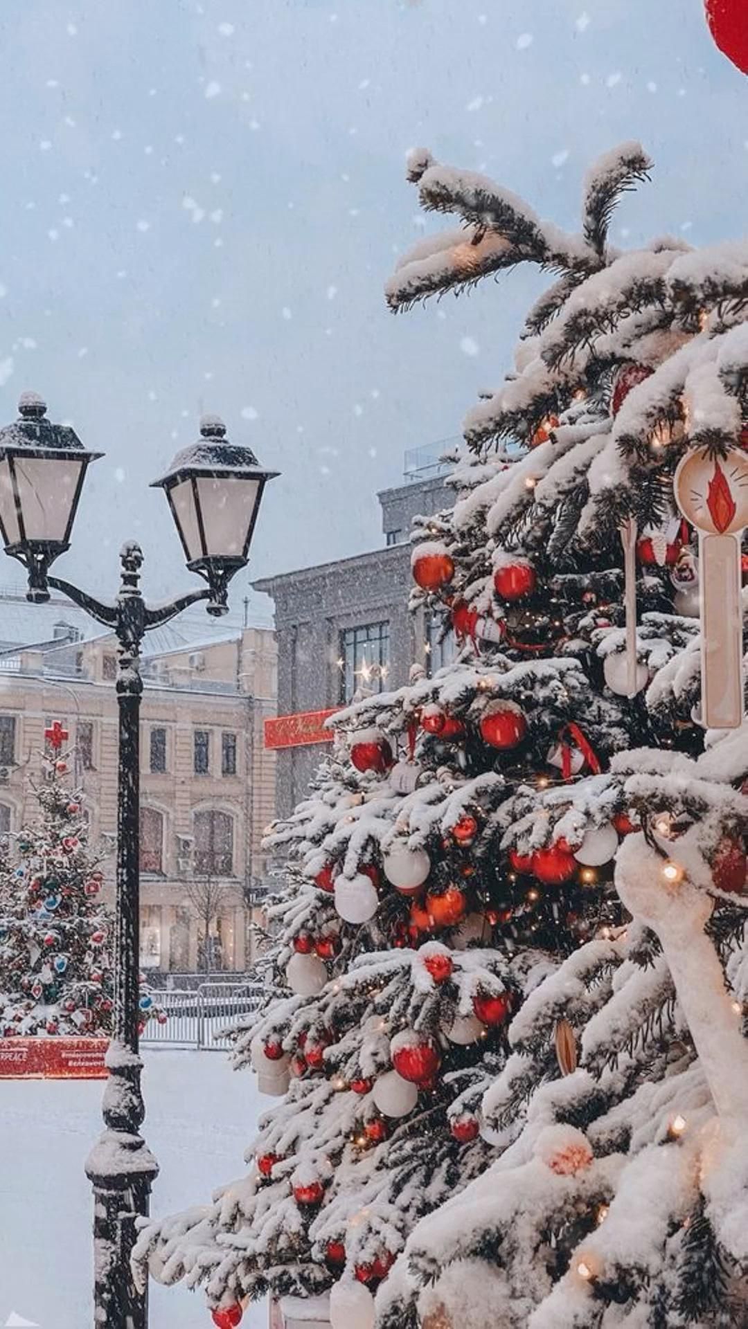  Schnee Hintergrundbild 1080x1920. Christmas Aesthetic. Winter 2022. Christmas Tree. December. Snow Fall. Winter Wonderland. ❄️