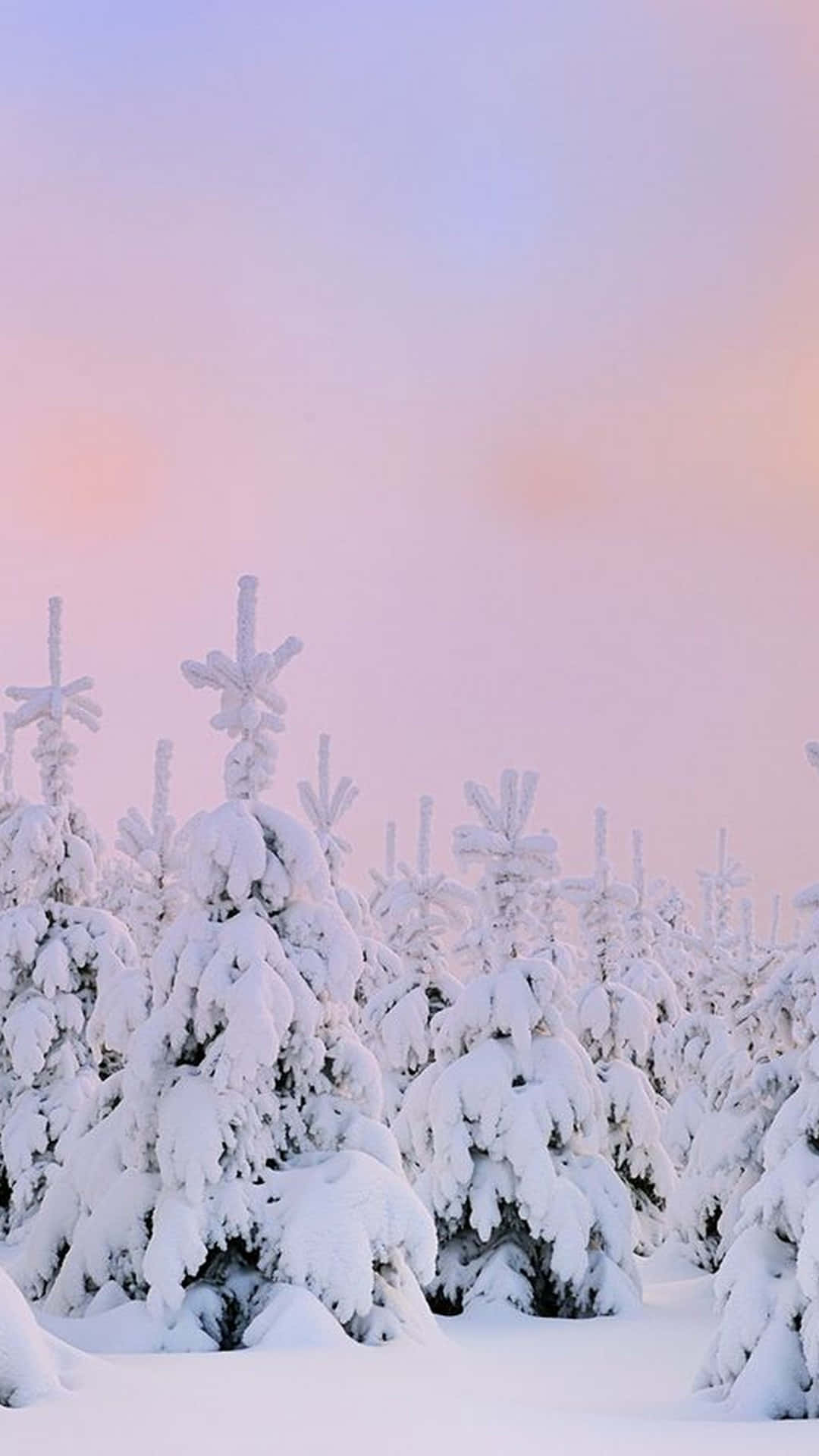 Winterliche Hintergrundbild 1080x1920. Bilder Von Snow Aesthetic