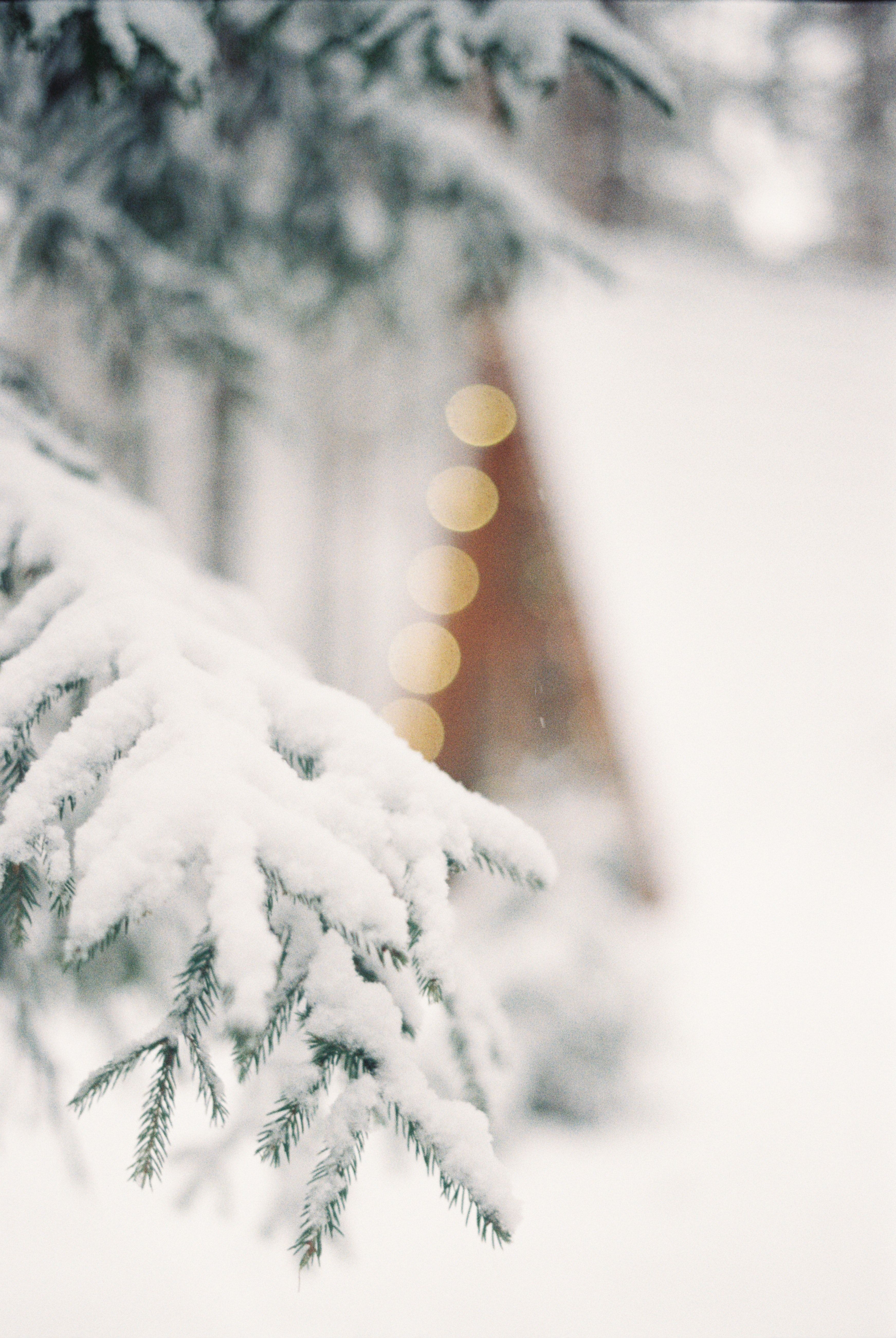  Schnee Hintergrundbild 3486x5206. 60.Weihnachten Schnee Bilder Und Fotos · Kostenlos Downloaden · Stock Fotos