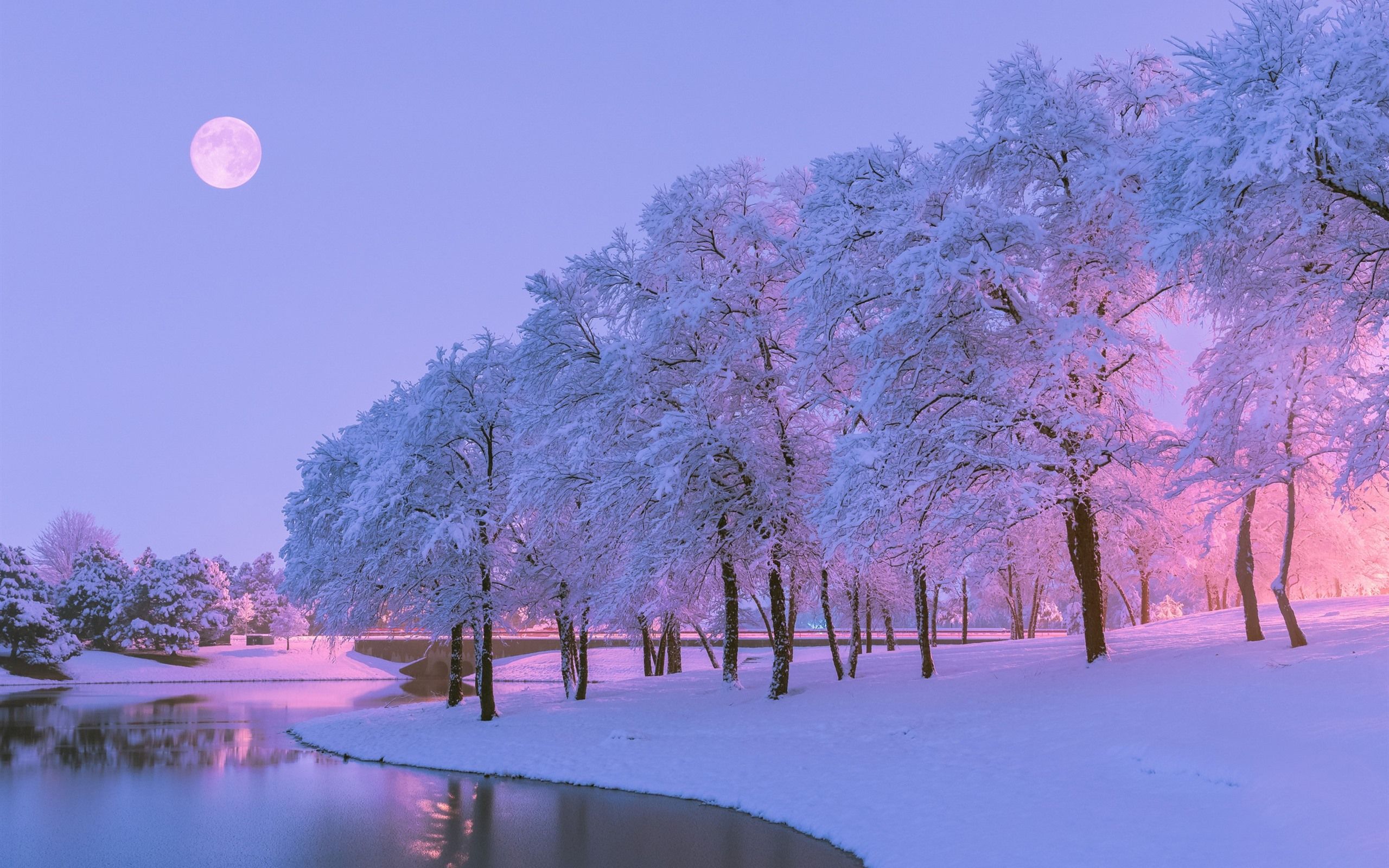  Schnee Hintergrundbild 2560x1600. Schöner Winter, Schnee, Bäume, Fluss, Mond, Dämmerung 2560x1600 HD Hintergrundbilder, HD, Bild