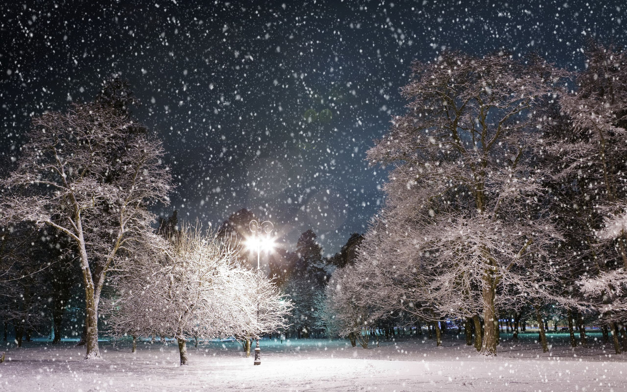  Schnee Hintergrundbild 2560x1600. Fotografie Winter HD Wallpaper