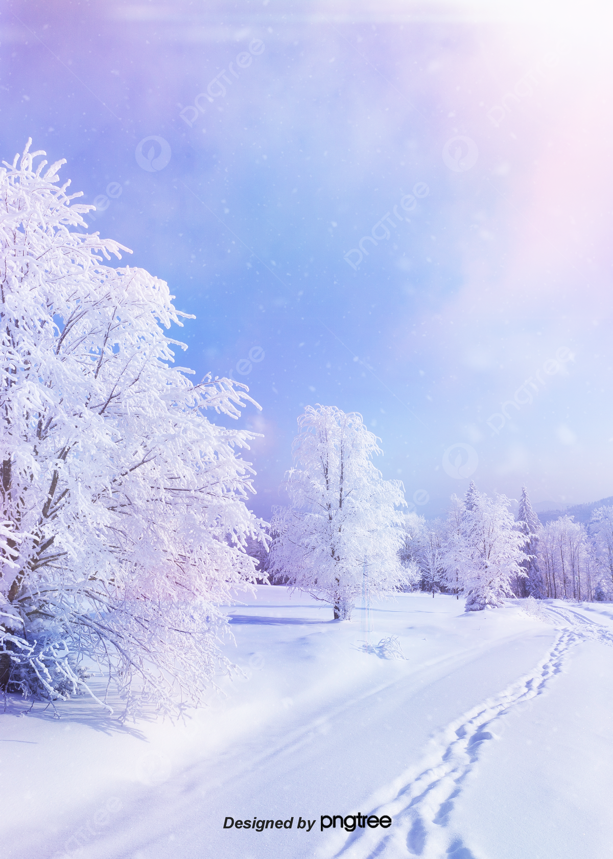  Schnee Hintergrundbild 1200x1680. Traumschönheitsschnee Im Waldhintergrund Hintergrundbild zum kostenlosen Download