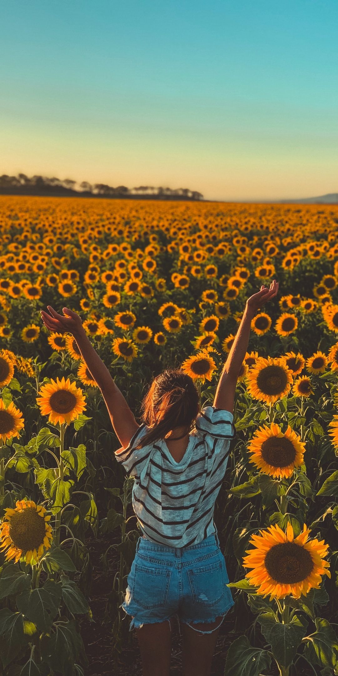  Landwirtschaft Hintergrundbild 1080x2160. Sunny day, sunflowers, farm, woman, 1080x2160 wallpaper. Creative photography, Sunflower field picture, Sunflower photography
