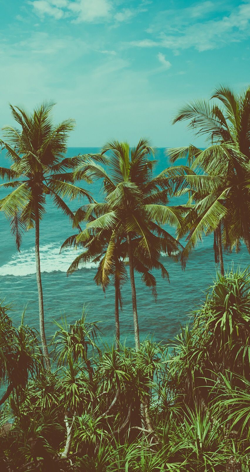  Karibik Hintergrundbild 852x1608. Marina on Background. Nature photography trees, Palm trees beach photography, Tree wallpaper iphone