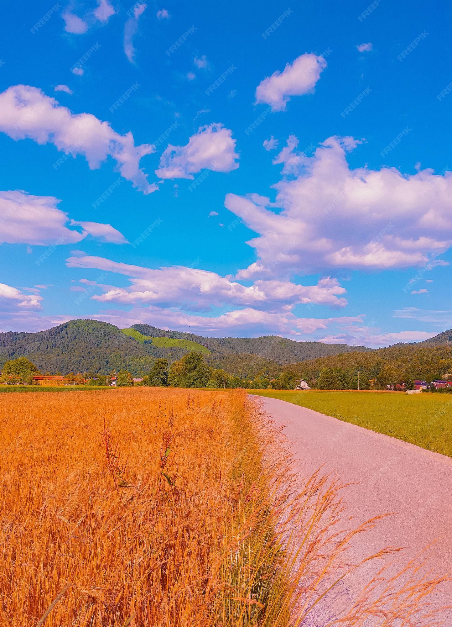  Landwirtschaft Hintergrundbild 1443x2000. Stilvolle Bio Tapete. Roggenfeld. Naturästhetischer Hintergrund. Reisen. Slowenien