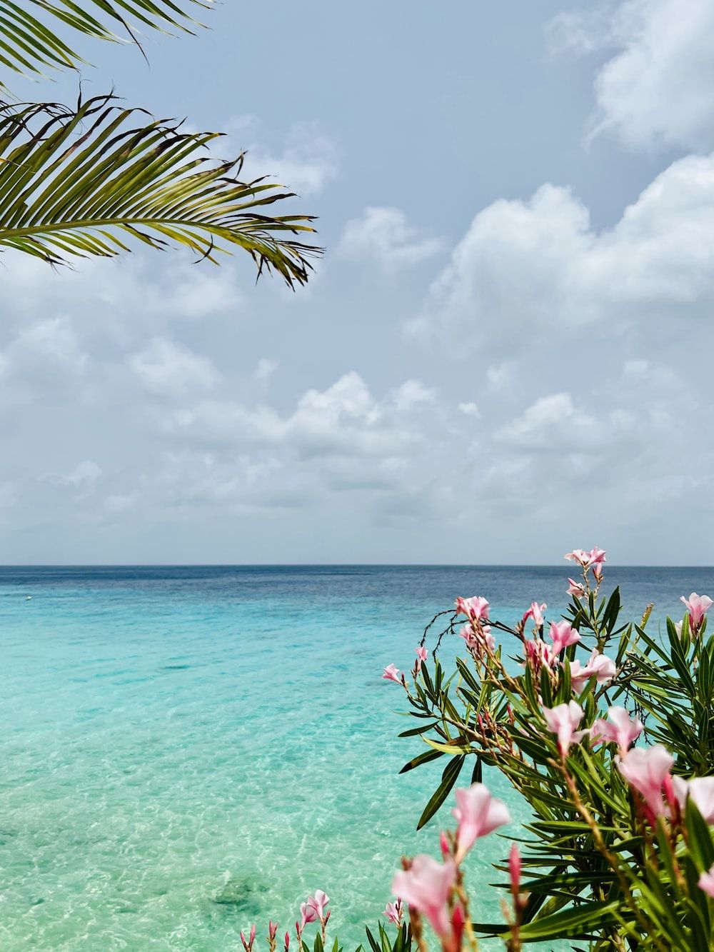  Strand Karibik Hintergrundbild 1000x1333. Bilder zum Thema Bonaire Strand. Kostenlose Bilder auf herunterladen