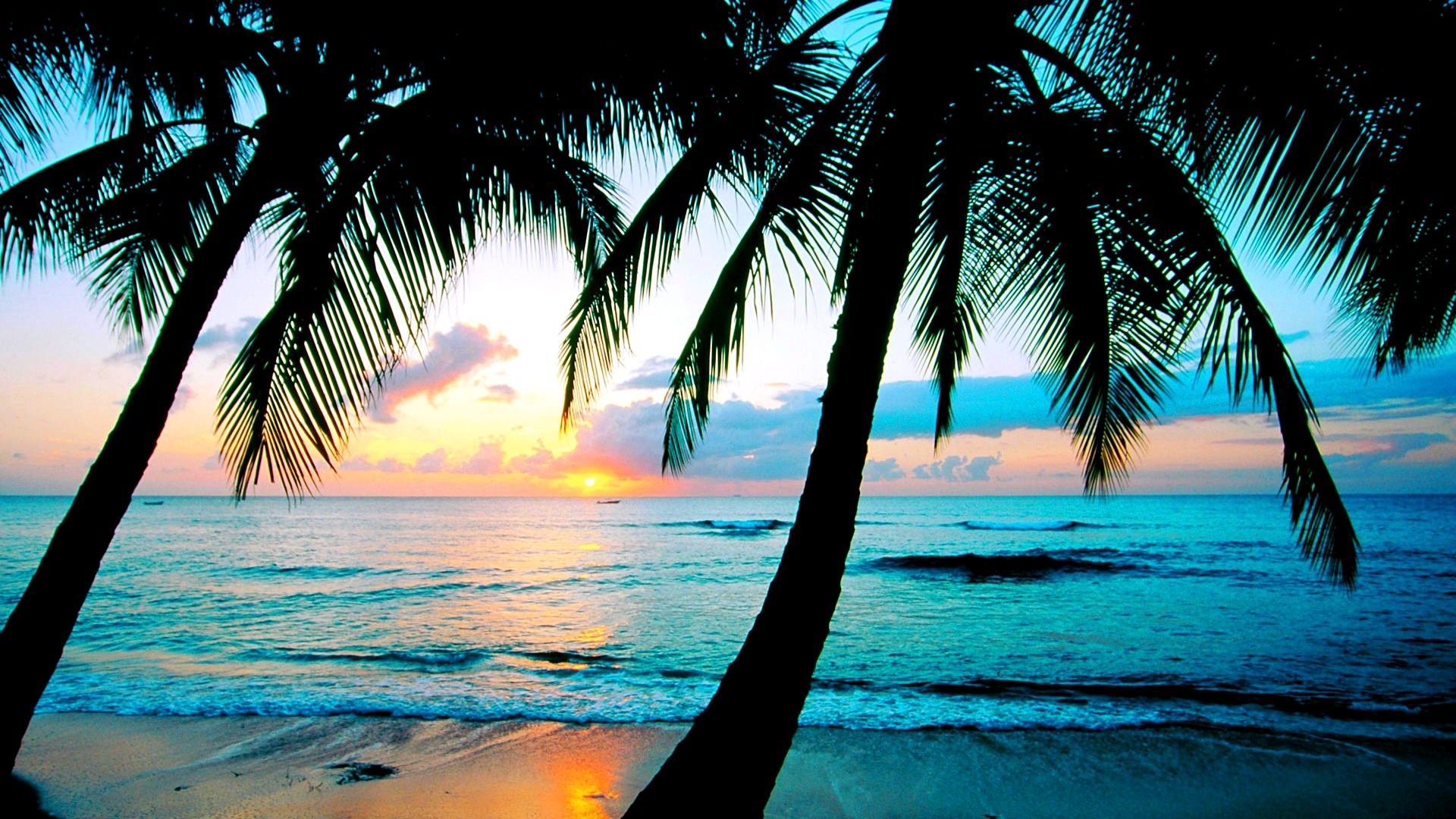  Strand Karibik Hintergrundbild 1920x1080. beach desktop wallpaper download. Desktop Background for Free HD. Beach wallpaper, Kings beach, Beautiful beaches