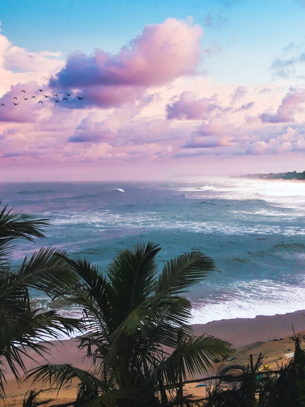  Strand Karibik Hintergrundbild 1000x1334. Foto zum Thema Ein tropischer Strand mit Palmen