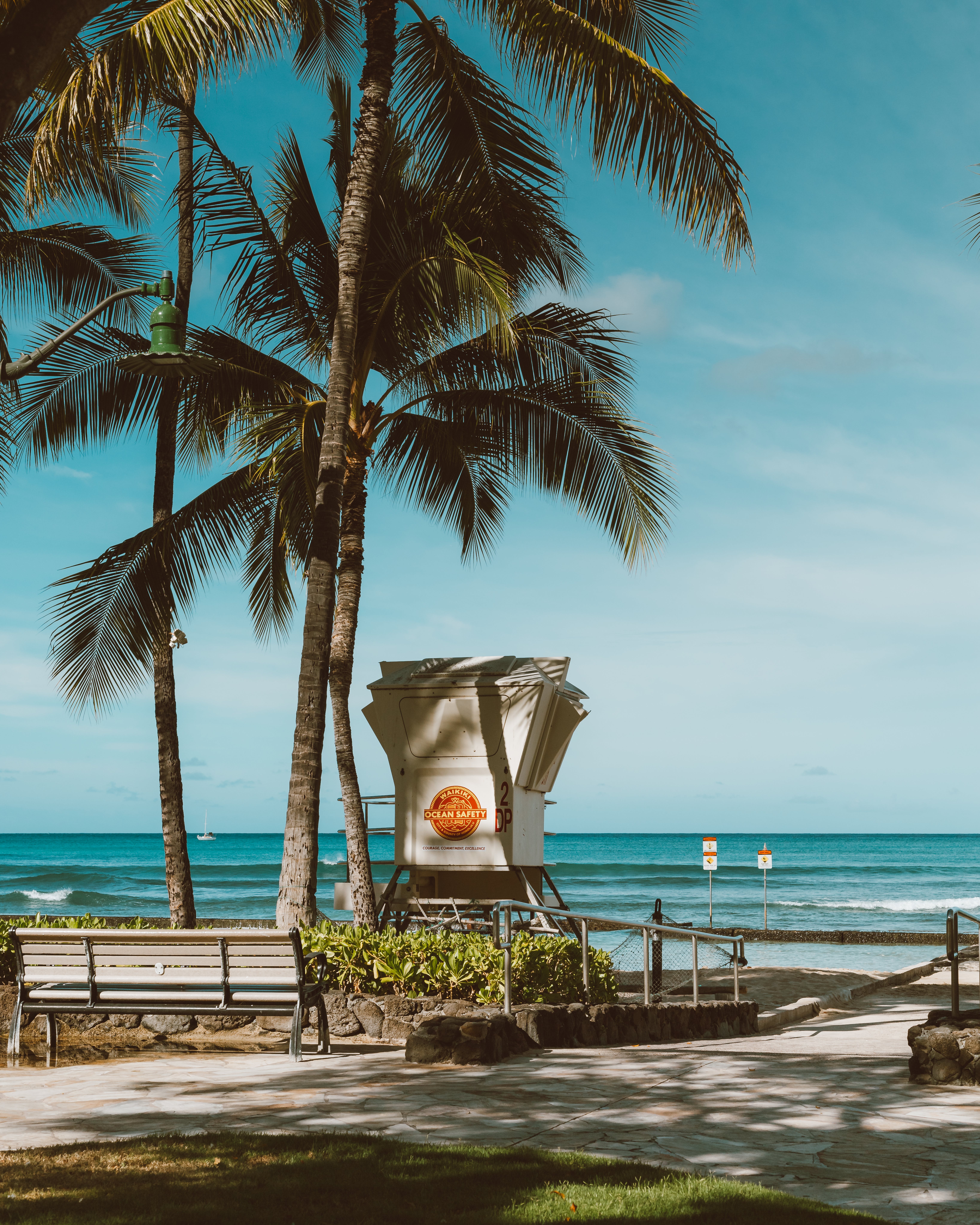  Karibik Hintergrundbild 6554x8192. Kostenloses Foto zum Thema: küste, meer, mobile wallpaper, palmen, sand, ufer, vertikaler schuss
