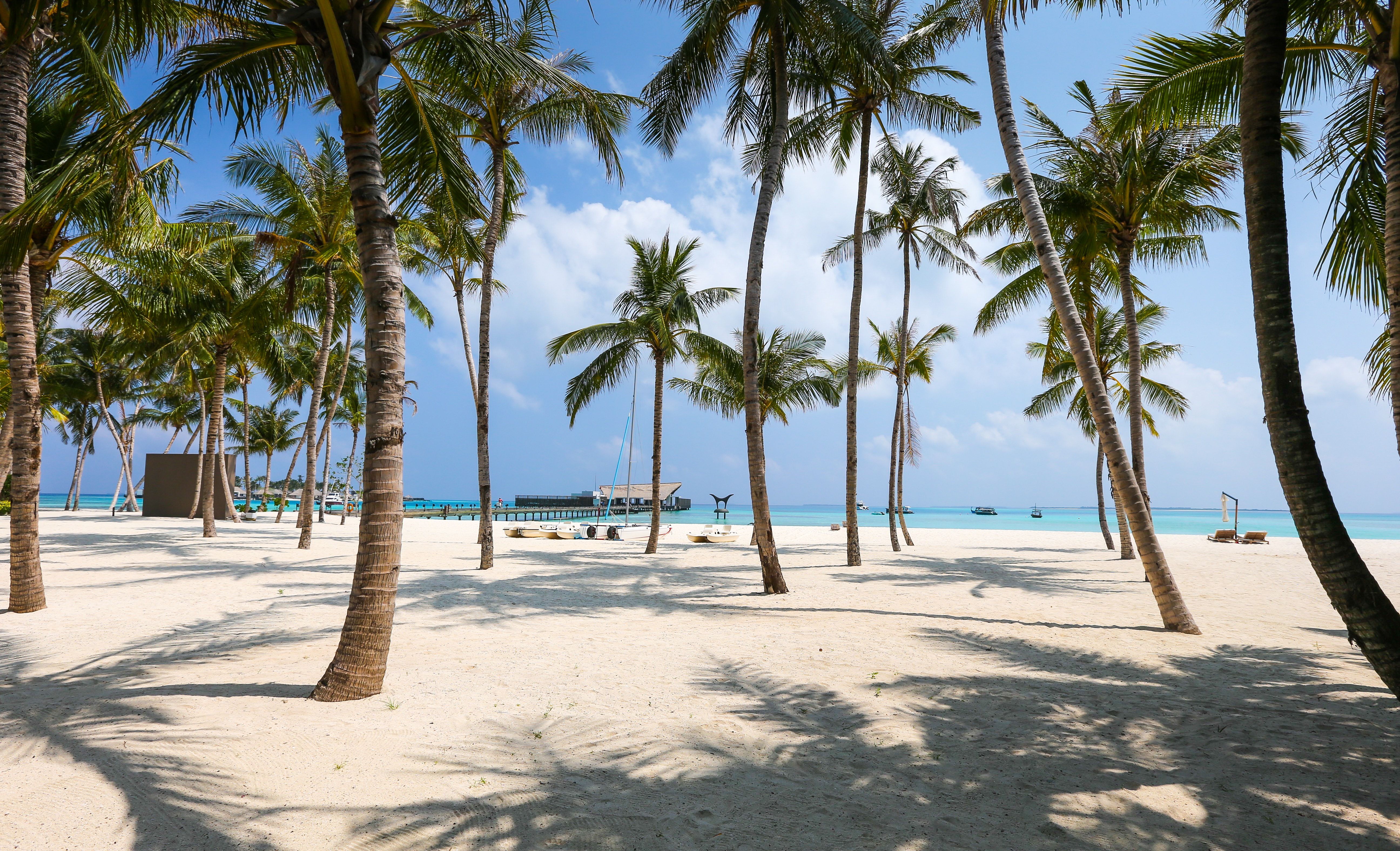  Strand Karibik Hintergrundbild 5184x3152. Foto Von Strand Und Palmen · Kostenloses Stock Foto