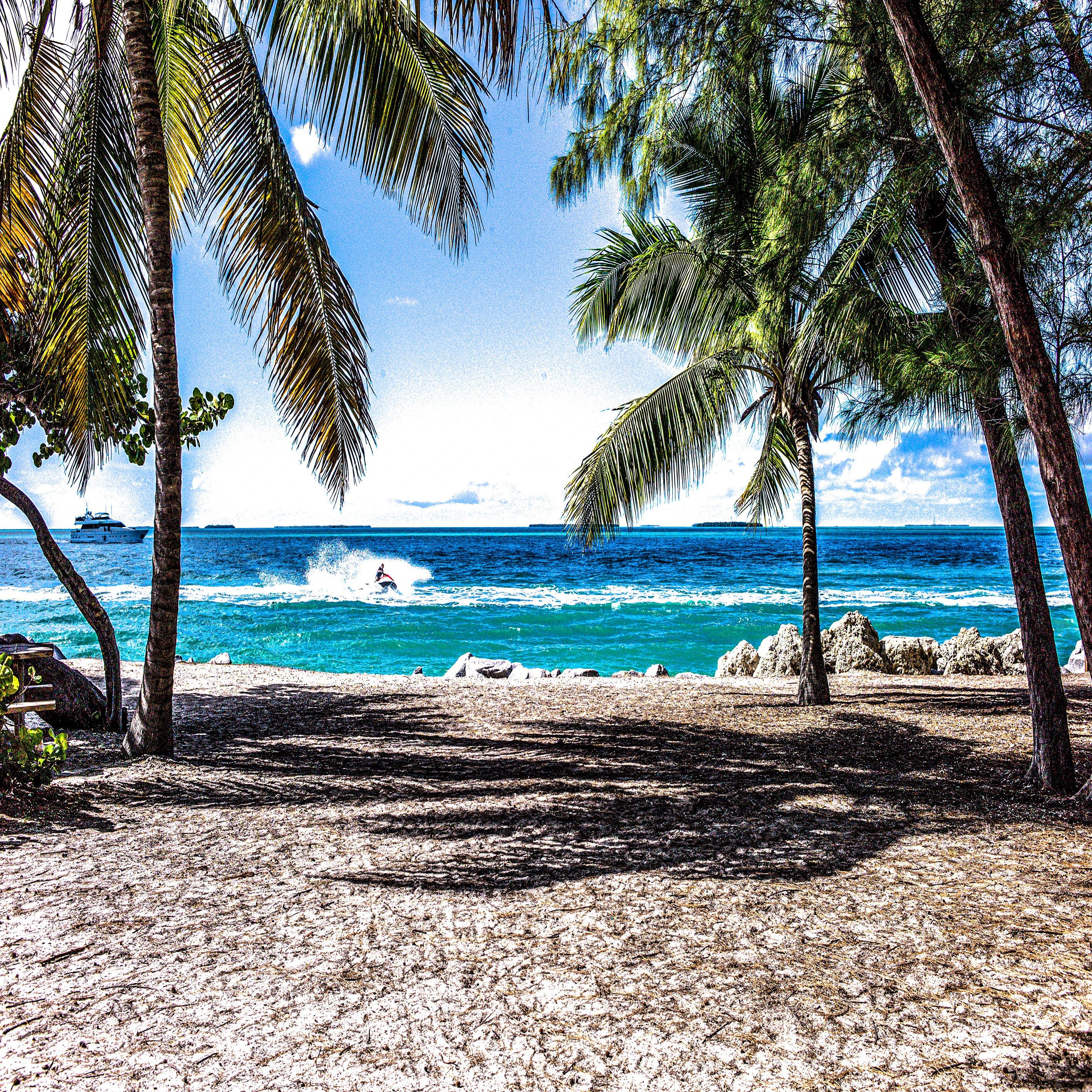  Strand Karibik Hintergrundbild 2835x2835. Leinwand Bilder Traumurlaub Palmen Strand Beach Holiday- Hochwertiger