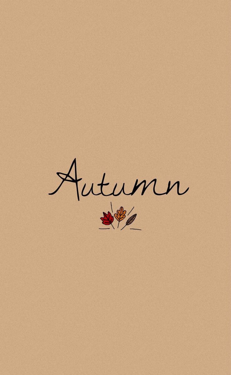  Herbst Handy Hintergrundbild 736x1194. iPhone Wallpaper phone wallpaper. iPhone wallpaper herbst, Herbst hintergrund, Herbst hintergrundbild