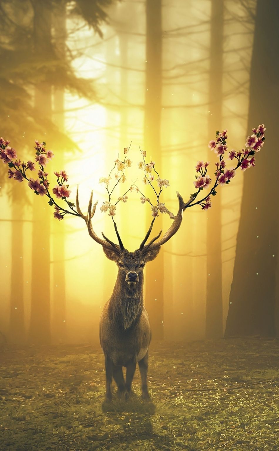  Hirsch Hintergrundbild 950x1534. Download 950x1534 wallpaper Deer, forest, surreal, iPhone, 950x1534 HD image, background, 18648. Deer wallpaper, Fantasy forest, Deer art