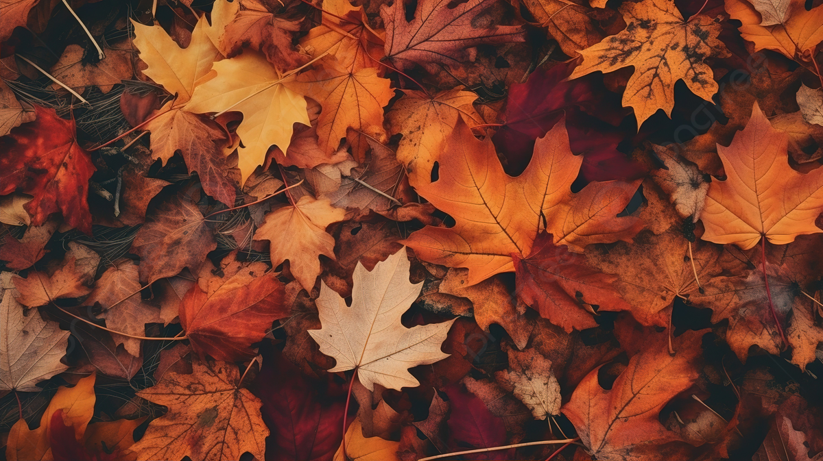  Herbst Desktop Gestalten Hintergrundbild 1200x673. Mehrere Blätter Lagen In Einem Haufen Herbstblätter, Herbstbild ästhetische Tapete Hintergrund, Foto und Bild zum kostenlosen Download