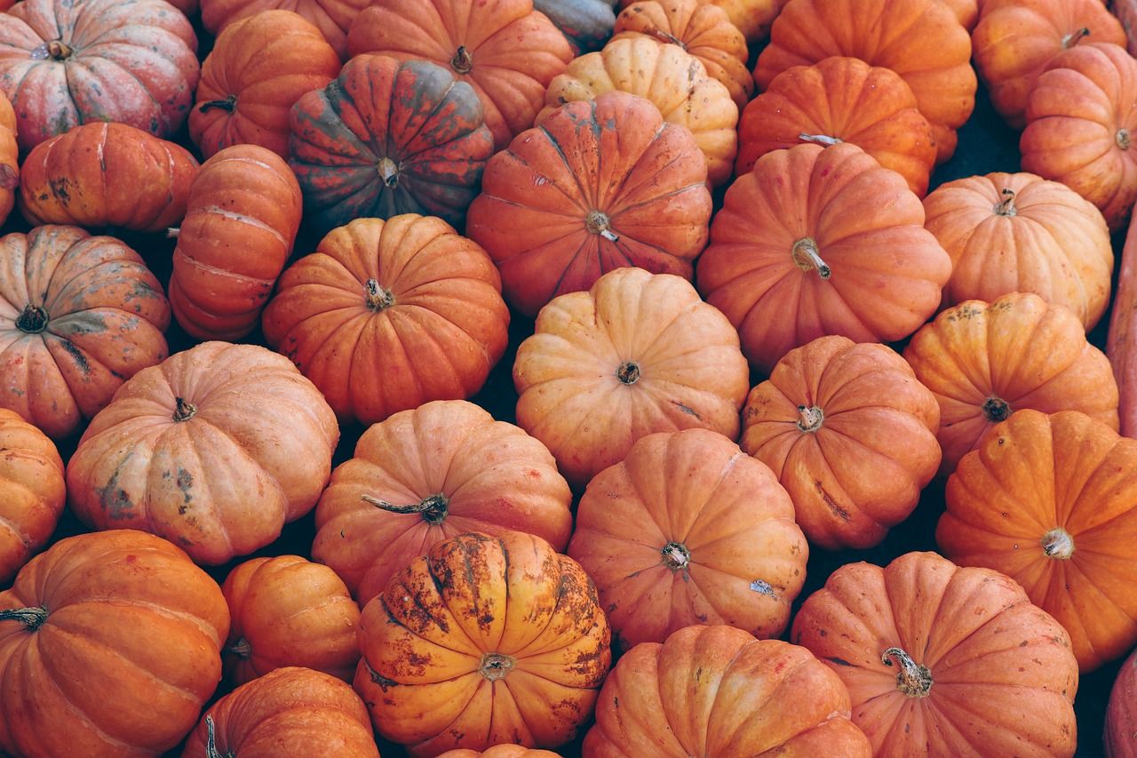  Herbst Desktop Gestalten Hintergrundbild 1280x853. Herbstzeit ist gleich Kürbiszeit