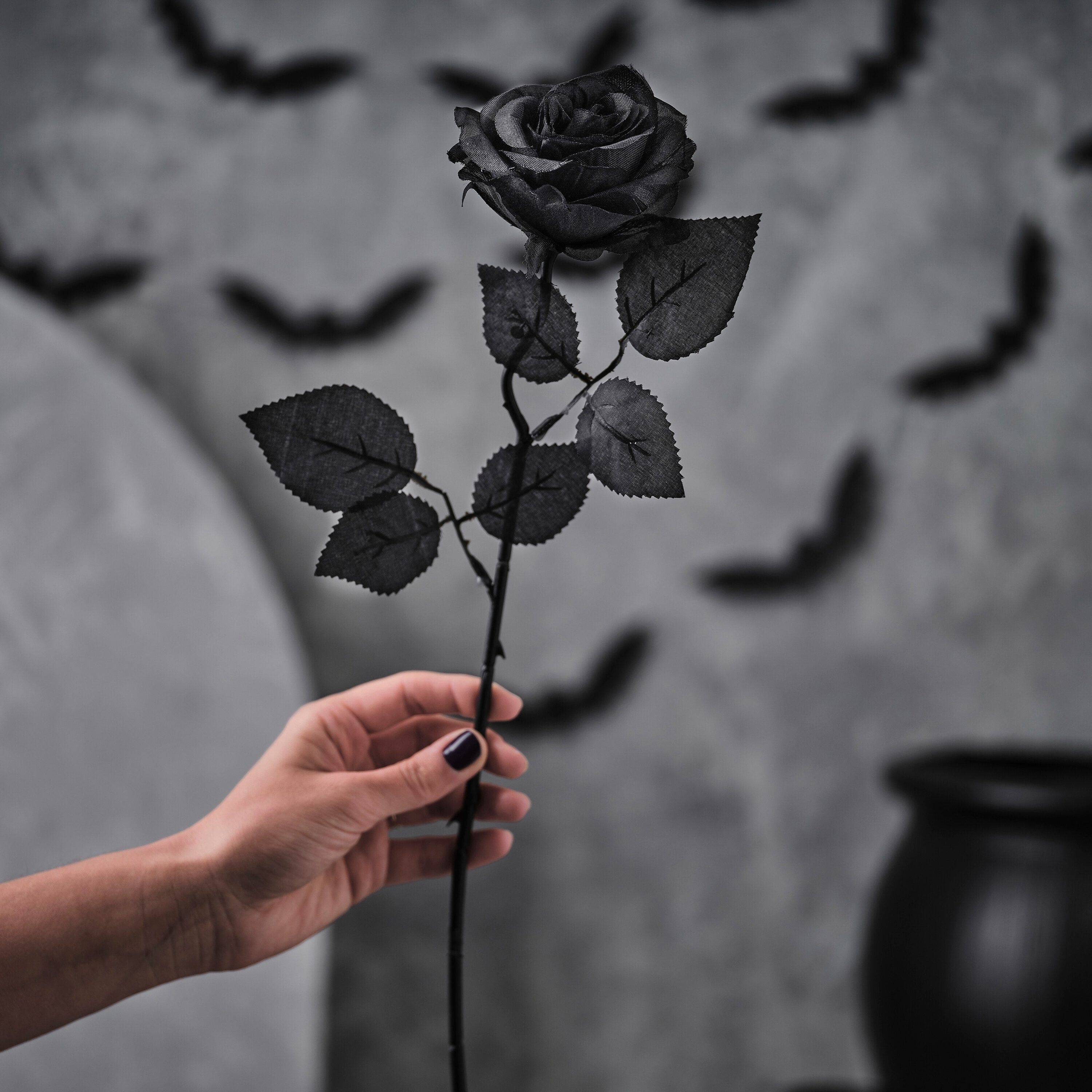  Schwarze Rosen Hintergrundbild 3000x3000. Kunst schwarze Rose Schwarze Blume künstliche schwarze Rose