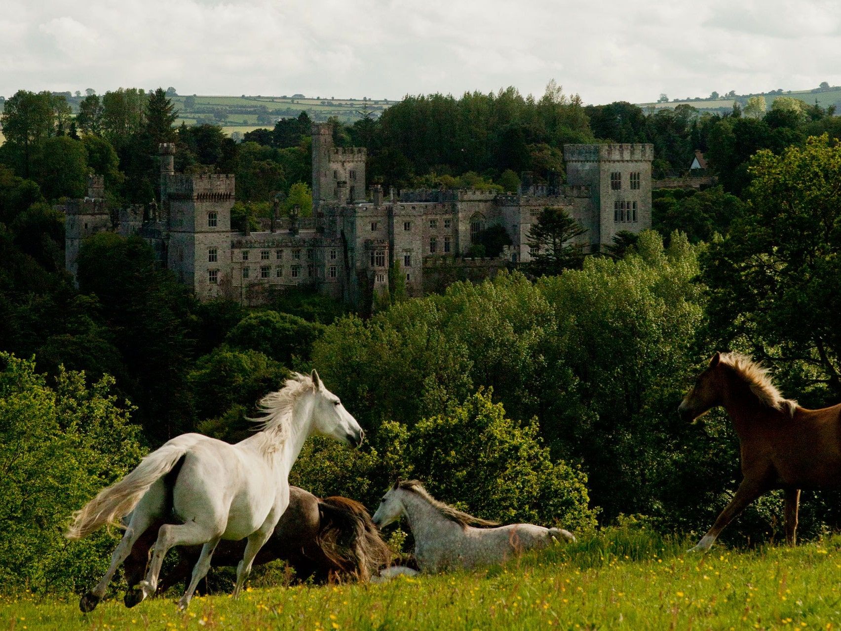  Irland Hintergrundbild 1704x1278. The best castles in Ireland