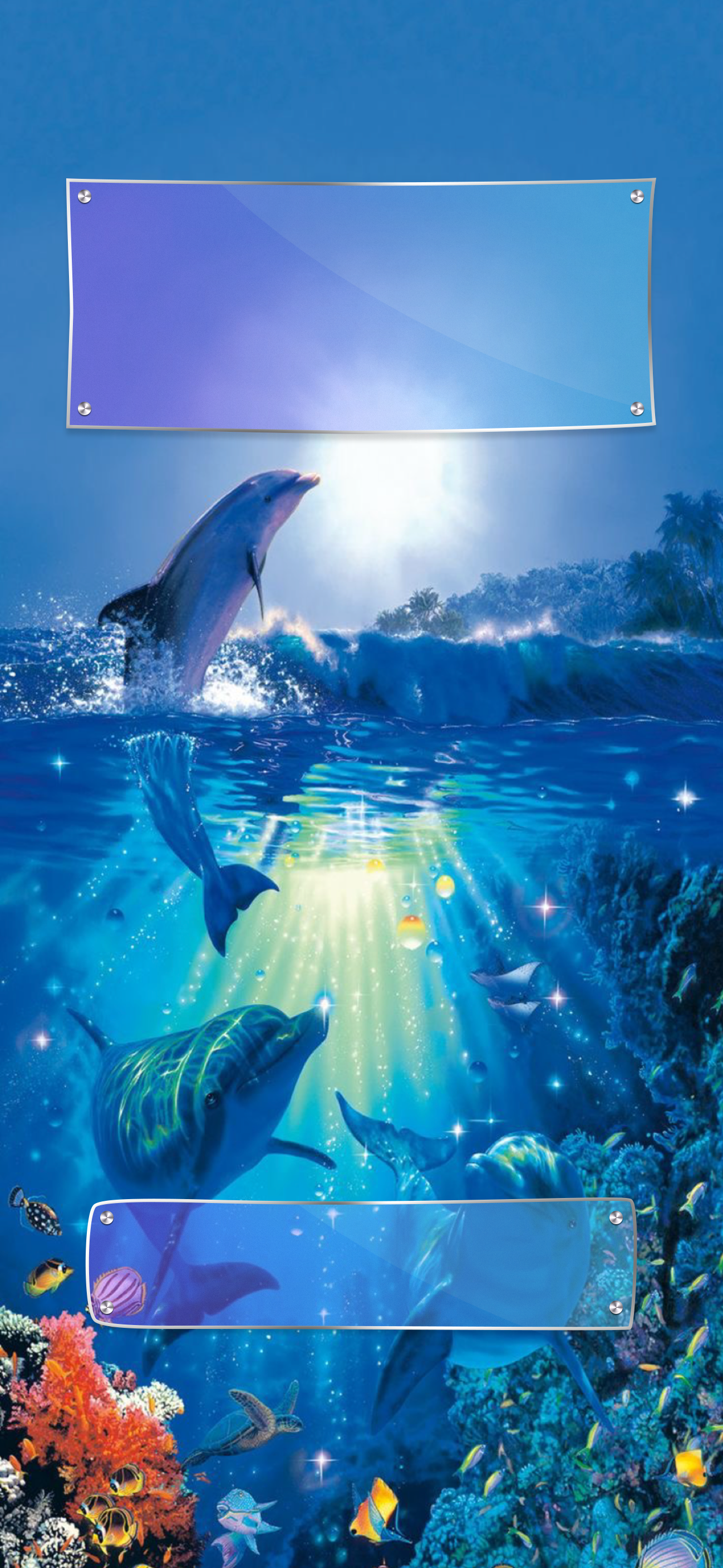  Delfine Hintergrundbild 1299x2814. wallpaper iphone x. Unterwasser, Tiere, Michaela